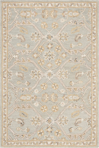 Safavieh Blossom 701 Slate/Beige Area Rug main image