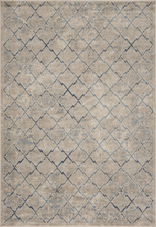 Safavieh Brentwood BNT809G Light Grey/Blue Area Rug main image