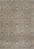 Safavieh Brentwood BNT860G Light Grey/Blue Area Rug main image