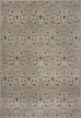 Safavieh Brentwood BNT860G Light Grey/Blue Area Rug main image