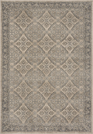 Safavieh Brentwood BNT863B Cream/Grey Area Rug main image