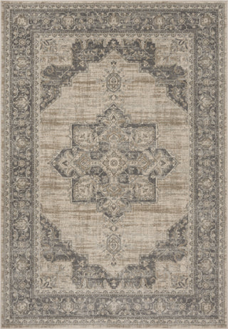 Safavieh Brentwood BNT865B Cream/Grey Area Rug main image