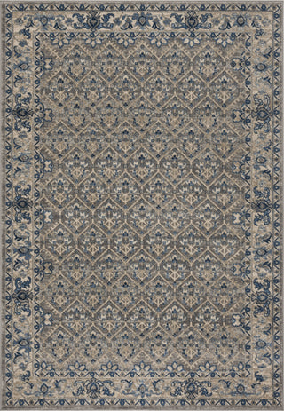 Safavieh Brentwood BNT869G Light Grey/Blue Area Rug main image