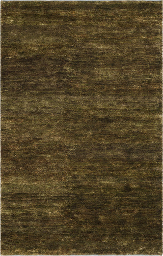 Safavieh Bohemian BOH211 Green Area Rug main image