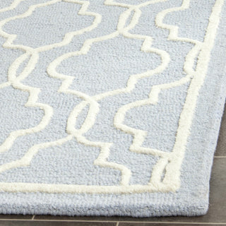 Safavieh Cambridge 131 Light Blue/Ivory Area Rug Detail