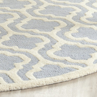 Safavieh Cambridge 132 Light Blue/Ivory Area Rug Detail