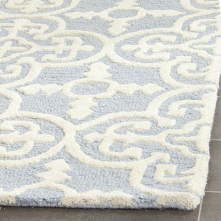 Safavieh Cambridge 133 Light Blue/Ivory Area Rug Detail