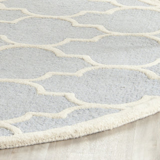 Safavieh Cambridge 134 Light Blue/Ivory Area Rug Detail