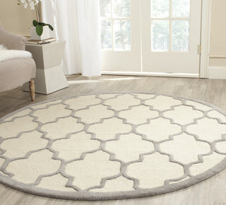 Safavieh Cambridge 134 Ivory/Silver Area Rug Room Scene