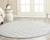 Safavieh Cambridge 137 Light Blue/Ivory Area Rug Room Scene