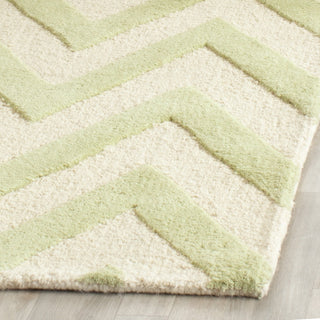 Safavieh Cambridge 139 Light Green/Ivory Area Rug Detail