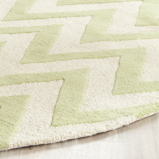 Safavieh Cambridge 139 Light Green/Ivory Area Rug Detail