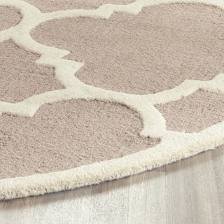 Safavieh Cambridge 140 Beige/Ivory Area Rug Detail