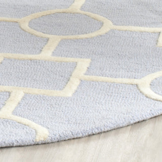 Safavieh Cambridge 143 Light Blue/Ivory Area Rug Detail