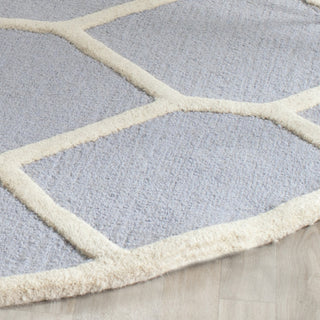 Safavieh Cambridge 144 Light Blue/Ivory Area Rug Detail