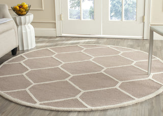 Safavieh Cambridge 144 Beige/Ivory Area Rug Room Scene