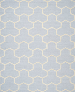 Safavieh Cambridge 146 Light Blue/Ivory Area Rug Main