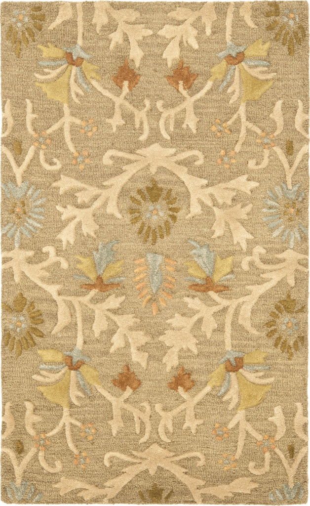 Safavieh Cambridge 235 Moss/Multi Area Rug main image