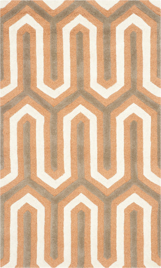 Safavieh Cambridge 351 Orange/Grey Area Rug main image