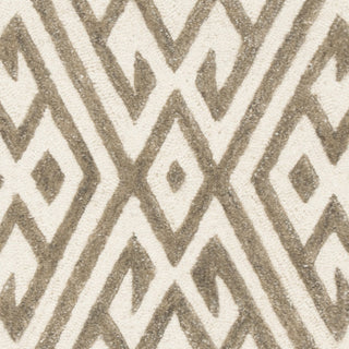 Safavieh Cambridge 401 Ivory/Grey Area Rug 