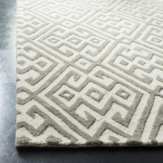 Safavieh Cambridge 401 Ivory/Grey Area Rug Detail