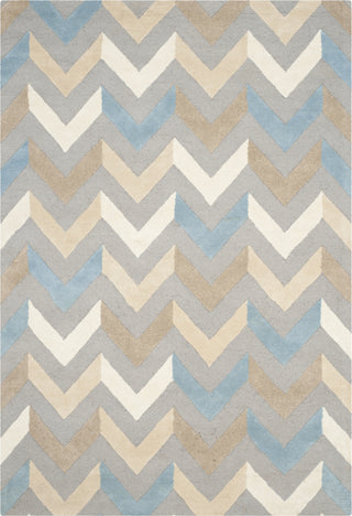 Safavieh Cambridge 580 Grey/Ivory Area Rug Main