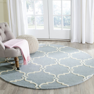 Safavieh Cambridge 703 Blue/Ivory Area Rug Room Scene Feature