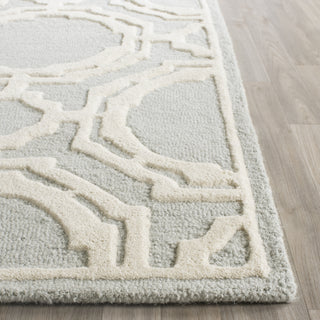 Safavieh Cambridge Cambrdge 721 Grey/Ivory Area Rug Detail