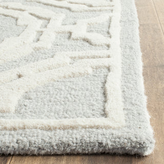 Safavieh Cambridge Cambrdge 721 Grey/Ivory Area Rug Detail