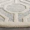 Safavieh Cambridge 726 Light Blue/Ivory Area Rug Detail