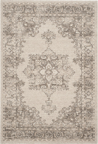 Safavieh Carmel CAR272B Beige/Brown Area Rug main image