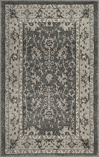 Safavieh Carmel CAR277D Dark Grey/Beige Area Rug 