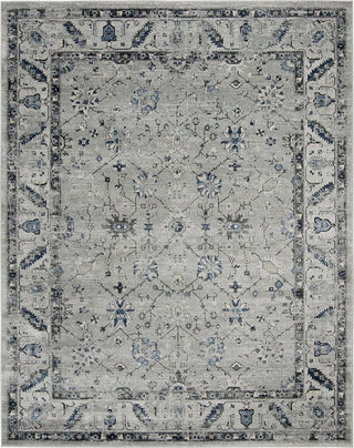 Safavieh Charleston CHL413F Grey/Dark Grey Area Rug Main Image