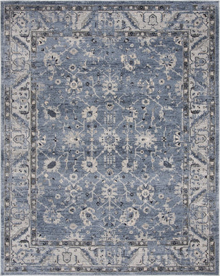 Safavieh Charleston CHL413N Navy/Light Grey Area Rug Main Image