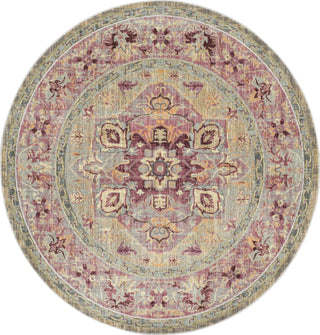 Safavieh Claremont CLR664D Grape/Blue Area Rug 