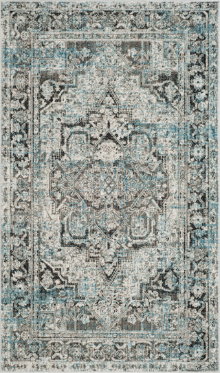 Safavieh Claremont CLR665G Ivory/Grey Area Rug 