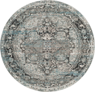 Safavieh Claremont CLR665G Ivory/Grey Area Rug 