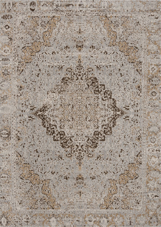 Safavieh Classic Vintage CLV110E Taupe Area Rug main image