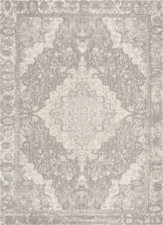 Safavieh Classic Vintage CLV110G Silver Area Rug main image