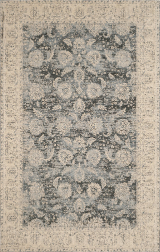 Safavieh Classic Vintage CLV306A Cream/Grey Area Rug main image