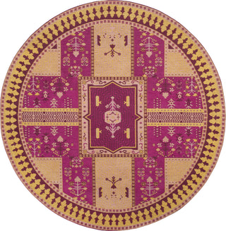 Safavieh Classic Vintage CLV512E Fuchsia/Gold Area Rug 