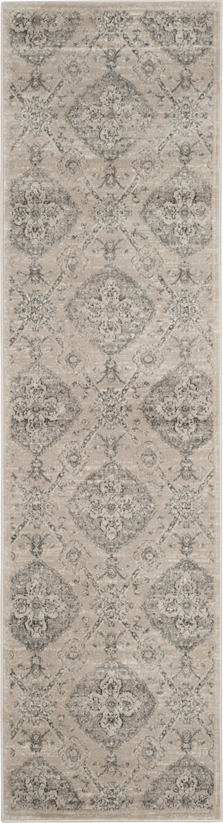 Safavieh Carnegie CNG623B Taupe/Light Blue Area Rug 