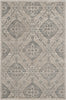 Safavieh Carnegie CNG623B Taupe/Light Blue Area Rug main image