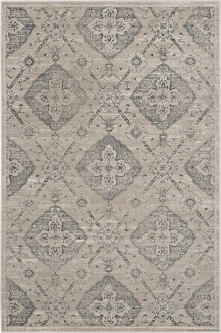 Safavieh Carnegie CNG623B Taupe/Light Blue Area Rug main image