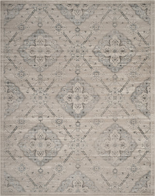 Safavieh Carnegie CNG623B Taupe/Light Blue Area Rug 