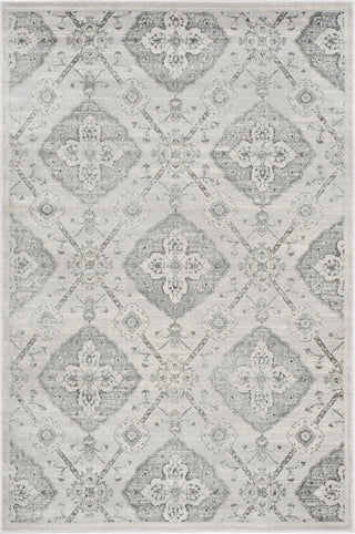 Safavieh Carnegie CNG623S Silver/Grey Area Rug main image