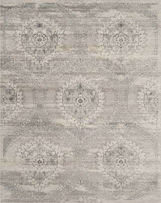 Safavieh Carnegie CNG626A Light Grey/Cream Area Rug 