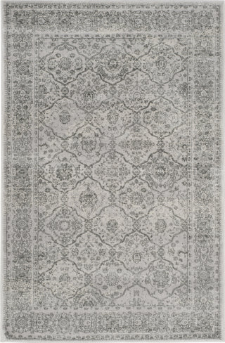 Safavieh Carnegie CNG691G Light Grey/Grey Area Rug 