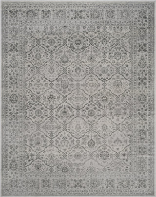 Safavieh Carnegie CNG691G Light Grey/Grey Area Rug 