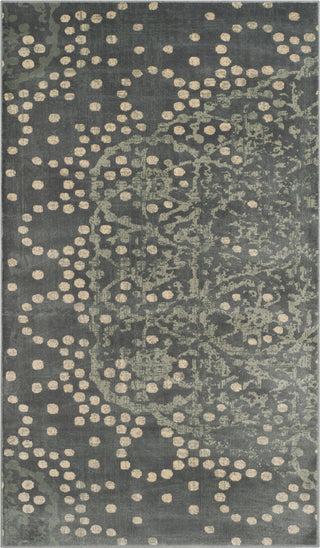 Safavieh Constellation Vintage CNV750 Grey/Multi Area Rug 